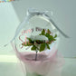 Happy Birthday Balloon Flower Bouquet - SunHavenCo